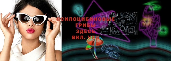 метамфетамин Алексеевка