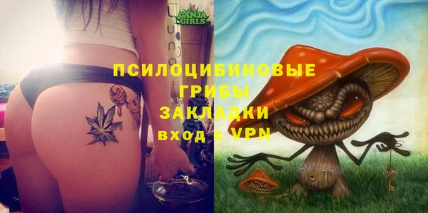 spice Абаза